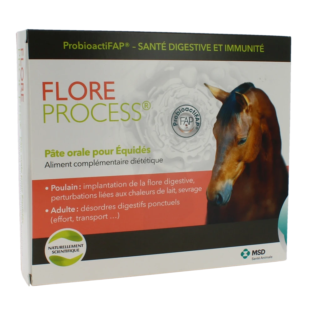 Flore Process Cheval Pâte Orale 5ser/20ml