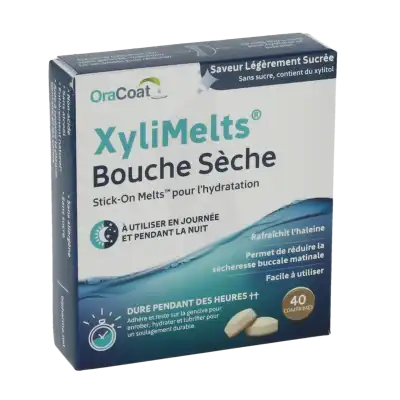 Xylimelts Past Adhésive Légèrement Sucrée B/40 à MIRANDE