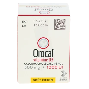 Orocal Vitamine D3 500 Mg/1000 Ui, Comprimé à Croquer