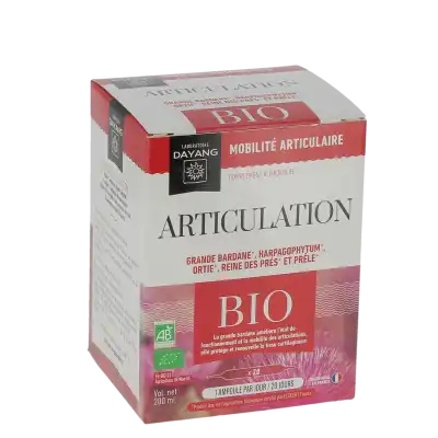 Dayang Articulation BIO 20 ampoules