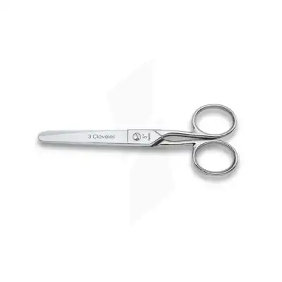 3 Claveles Ciseaux Bouts Ronds Multi-usages Inox 11,5 Cm à VIC-LE-COMTE