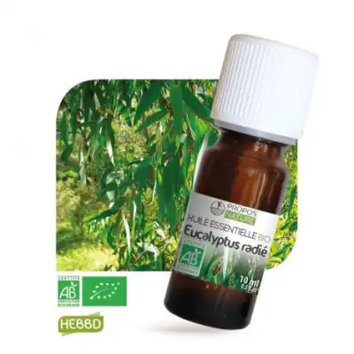 Propos'nature Huile Essentielle Eucalyptus Radié Bio 10ml à Mailly-Maillet