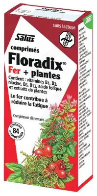 Floradix Fer+plantes Comprimés Vigueur énergie B/84 à ERSTEIN