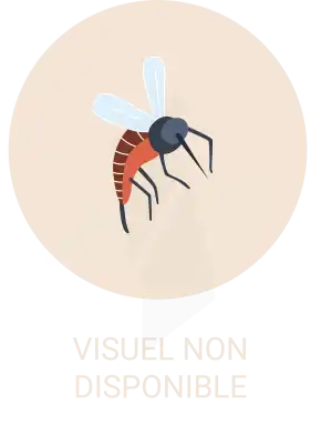 Parasidose Kit De Protection Moustiques 2024 à Pessac