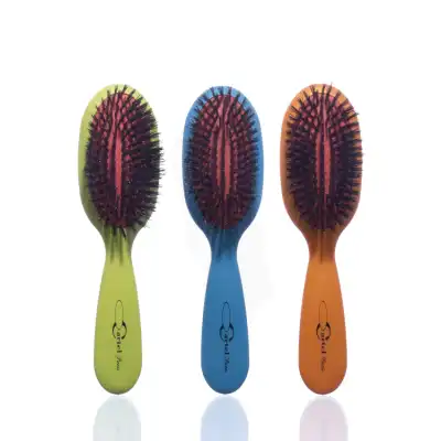 Cartel Brosse Cheveux Pneumatique Sanglier /1 à CANEJAN