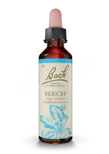 Fleurs De Bach® Original Beech - 20 Ml