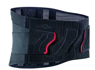 Porostrap 2.0 Ceinture Lombaire H21cm M à ODOS