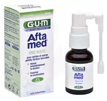 Gum Aftamed Spray Buccal, Spray 20 Ml à JOINVILLE-LE-PONT