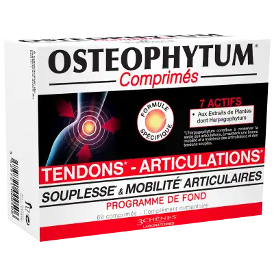 Osteophytum Comprimés Renfort Et Mobilité Articulaire B/60 à Montpon-Ménestérol