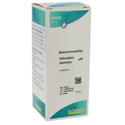 Boiron Orthosiphon Stamineus 4dh Solution Buvable En Gouttes Flacon De 125 Ml à Libourne