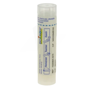 Boiron Pollen De Graminees 9ch Granules Tube De 4g