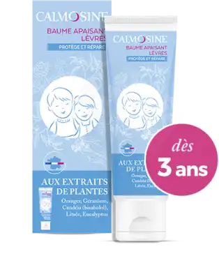 Calmosine Baume à Lèvres Extraits Naturels De Plantes T/20ml à Abbeville