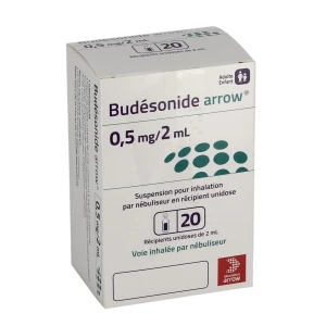 Budesonide Arrow 0,5 Mg/2 Ml, Suspension Pour Inhalation Par Nébuliseur En Récipient Unidose