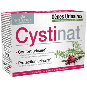 Cystinat Comprimés Confort Urinaire B/56 à CHÂLONS-EN-CHAMPAGNE