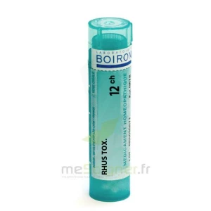 Boiron Rhus Toxicodendron 12ch Granules Tube De 4g