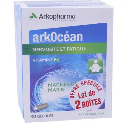 Arkocean Magnesium Marin Vitamine B6 Gélules nervosité fatigue 2B/30