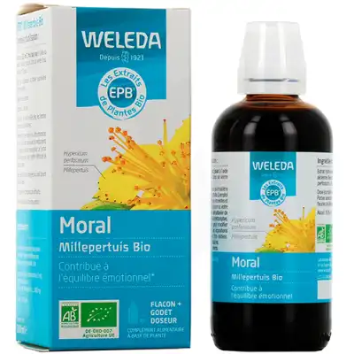 Weleda Epb Millepertuis Bio 100ml à Saint-Mandrier-sur-Mer