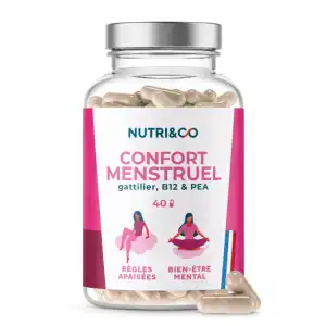 Nutri&co Confort Menstruel Gélules B/40 à Annemasse