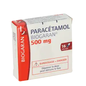 Paracetamol Biogaran 500 Mg, Gélule à LA-RIVIERE-DE-CORPS