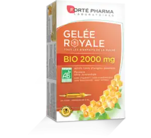 Forte Pharma Gelée Royale Bio 2000 Mg Solution Buvable 20 Ampoules/15ml à Paris