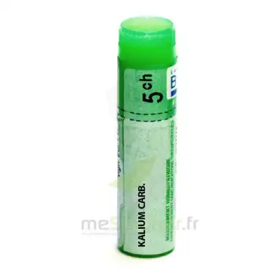 Boiron Kalium Carbonicum 5ch Globules Dose De 1g à BU