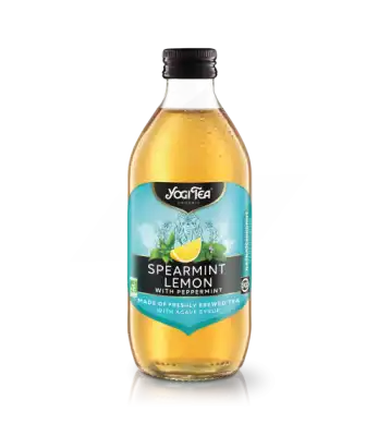 Yogi Tea Boisson Menthe Citron Bio 330ml à IS-SUR-TILLE