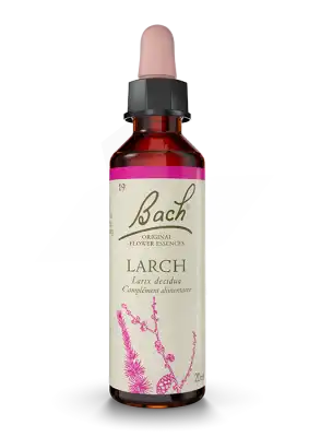 Fleurs De Bach® Original Larch - 20 Ml à Bordeaux