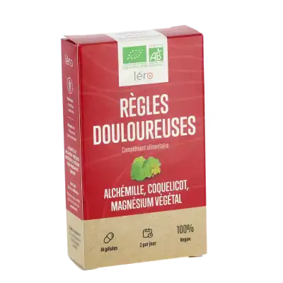 Lero Regles Douloureuses Gél B/14 à Obernai