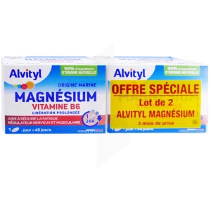 Alvityl Magnésium Vitamine B6 Libération Prolongée Comprimés Lp 2b/45