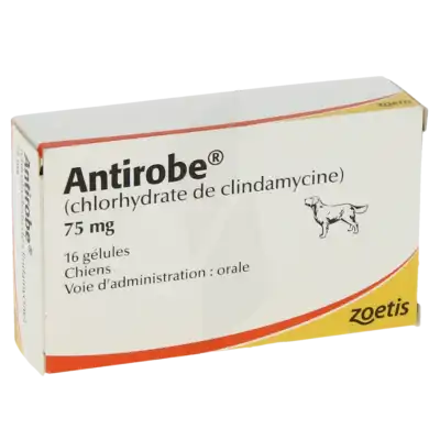ANTIROBE 75 MG, Gélule