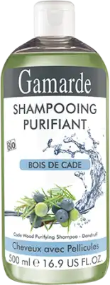 Gamarde Capillaire Shampoing Purifiant à Beaujeu-Saint-Vallier-Pierrejux-et-Quitteur