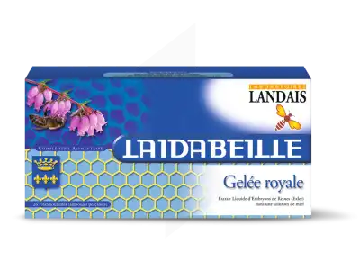 Laidabeille Gelée Royale Exler Solution Buvable 26 Ampoules/5ml à Mérignac