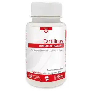 Effinov Nutrition Cartilinov Gélules B/120 à Ollioules