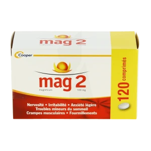 Mag 2 100 Mg, Comprimé  B/120