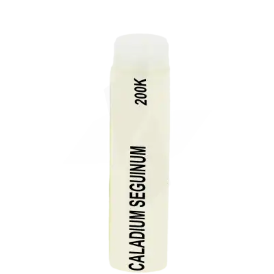 Boiron Caladium Seguinum 200k Globules Dose De 1g à Ferney-Voltaire