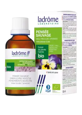 Ladrôme Extrait de Plante Pensée Sauvage Partie Aérienne Fleurie 50ml