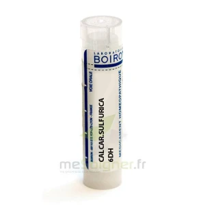 Boiron Calcarea Sulfurica 6dh Granules Tube De 4g