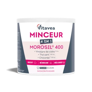 Vitavea Minceur 4 En 1 Morosil 400 Poudre Pot/240g