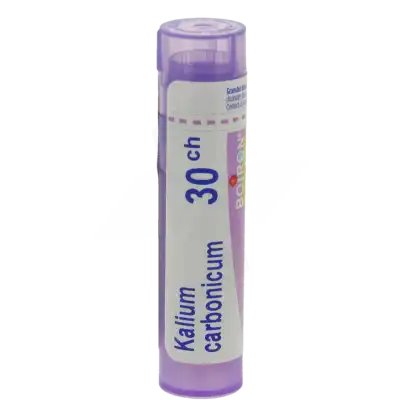 Boiron Kalium Carbonicum 30ch Granules Tube De 4g à Blaye