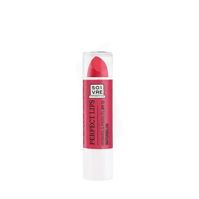 Lcdt Perfect Lips 3,5g Pasteque à ODOS