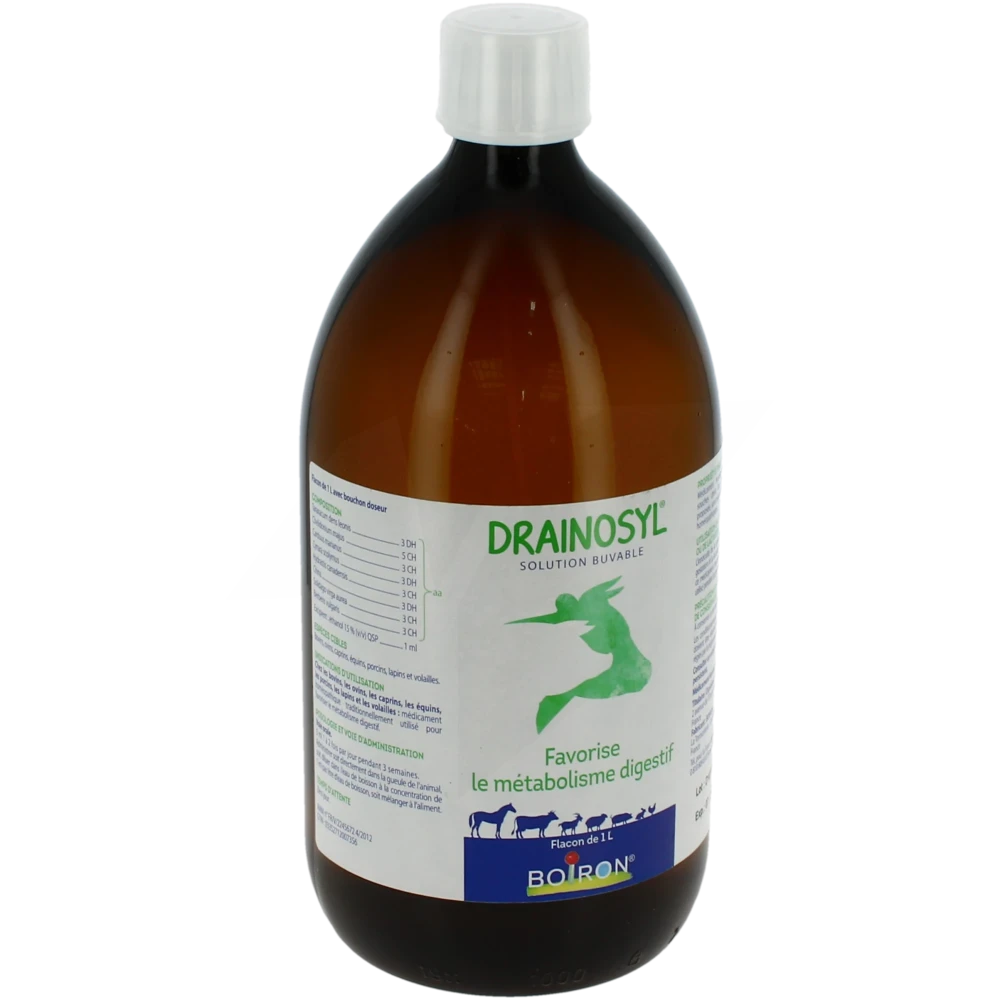 Boiron Drainosyl Solution Buvable Fl/1l