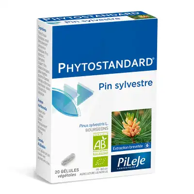 Pileje Phytostandard - Pin Sylvestre 20 Gélules Végétales à LA COTE-SAINT-ANDRÉ