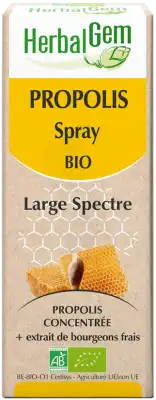 Herbalgem Propolis Large Spectre S Buv Bio Spray /15ml à Villebrumier