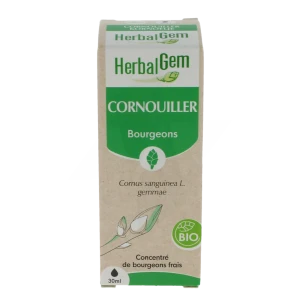 Herbalgem Cornouiller Macérat Bio Fl Cpte-gttes/30ml