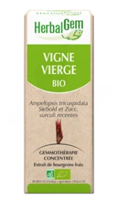 Herbalgem Vigne Vierge Macérat Bio 30ml