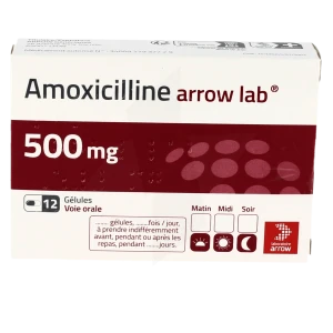Amoxicilline Arrow Lab 500 Mg, Gélule