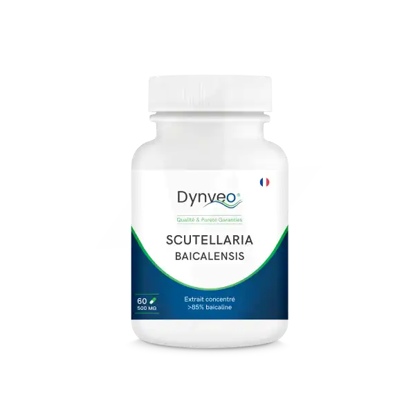 Dynveo Scutellaria Baicalensis (scutellaire) 85% Baicaline 500mg 60 Gélules