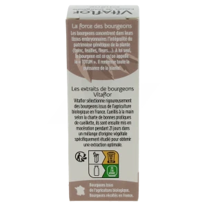 Bourgeons Chene Vitaflor Bio, Fl 15 Ml