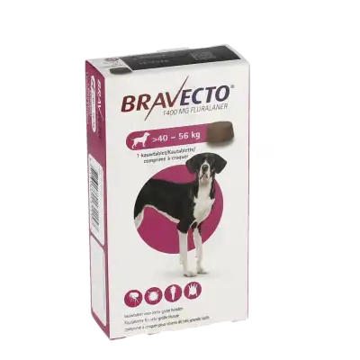 Bravecto Cpr Chien 40-56kg B/1 à VALENCE