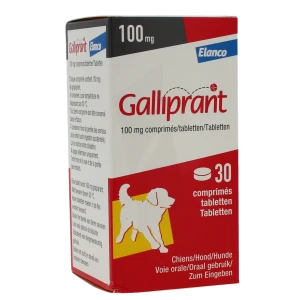 Galliprant 100 Mg Comprimes Pour Chiens, Comprimé